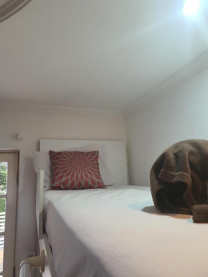 Villa Hostel Sp - Proximo Ao Allianz Parque E Paulista เซาเปาโล ภายนอก รูปภาพ